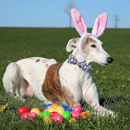 Easter Dog Collar with Bow Tie- Adjustable Easter Bunny Eggs Dog Collar Cute Rabbit Bowtie Metal Buckle Puppy Collars for Small Medium Large Dogs XS
