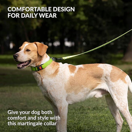 CollarDirect Martingale Dog Collar with Stainless Steel Chain and Quick Release Buckle - Reflective Collar for Large, Medium, Small Dogs - Lime Green, Medium (Neck Size 14"-17")