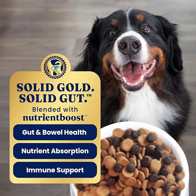 Solid Gold Large Breed Puppy Dog Food Dry Kibble - High Protein Dry Puppy Food for Large Breed Dogs w/Real Bison, Healthy Whole Grain & Probiotics for Gut Health & Digestion - Nutrientboost - 22 LB