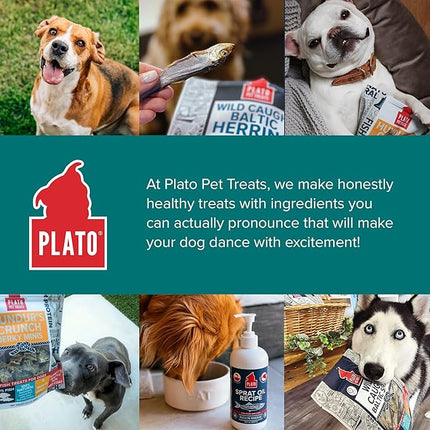 Plato Pet Treats Fish Dog Treats - Air-Dried, Single Ingredient Pet Treat - Omega 3 & 6 Fatty Acids to Support Skin and Coat - 100% Whole Fish - Wild Caught Baltic Herring - 8.5 oz - 2 Pack