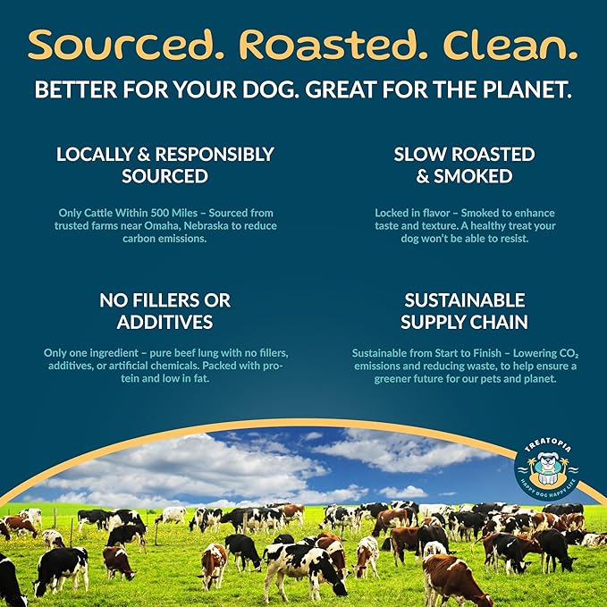 Beef Lung Nuggies Dog Treats – Single Ingredient, High Protein, Low Odor, Natural Crunchy Training Treats for Dogs – USA Sourced, Grain-Free, All-Natural (4 lb Bag)