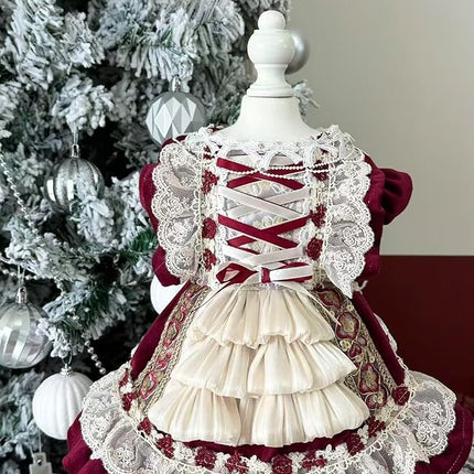 Fashion Sweet Puppy Dog Lace Princess Dress for EXTRAL Small and Small Dog B-WineRed X-Small