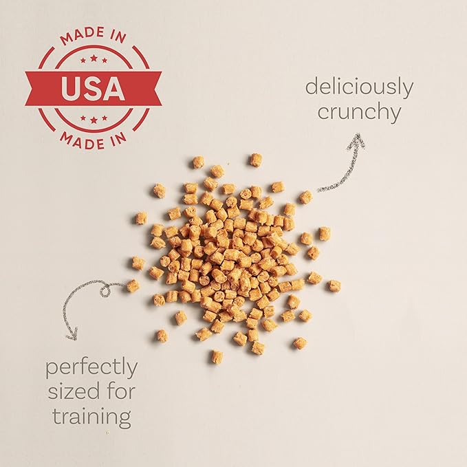 Polkadog Salmon Says Training Bits - Omega-3 Rich, Low Fat Healthy Dog Treat - Digestible, Vitamin & Mineral Packed Dog Snacks - Crunchy 3-Ingredient Treat, Ideal for Dogs with Allergies - 7oz