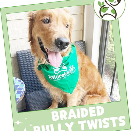 Nature Gnaws Braided Bully Twists for Dogs 5-6" (10 Count) - Long Lasting for Small and Medium Dogs - Natural Beef Dog Chew Bones