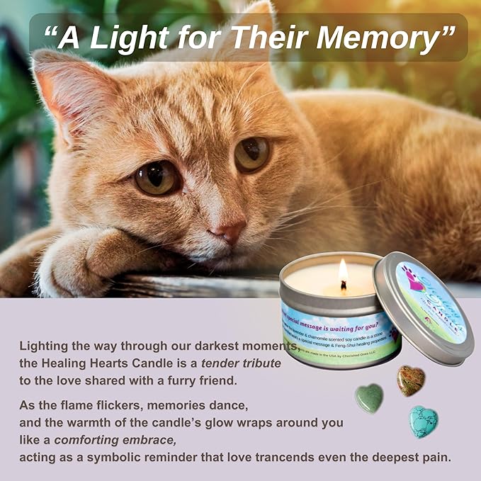 Pet Perennials Cat Memorial Candle – Cat Bundle Healing Hearts Pet Memorial Candle with Keepsake Heart Stone & Card – Candles for Grief, Sympathy, and Remembrance
