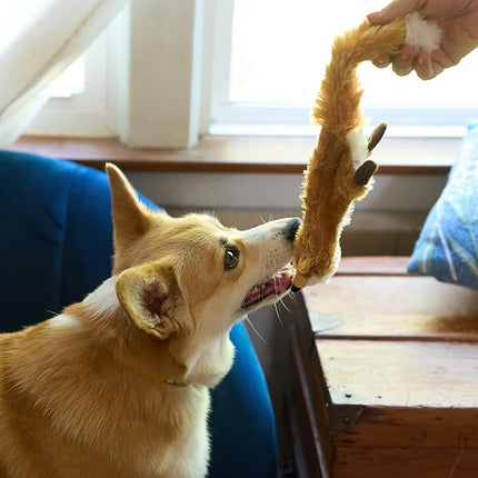 SPOT Skinneeez Fox – 14" Stuffing-Free Plush Squeaky Dog Toy for Small & Medium Dogs, Best for Light to Moderate Chewers, Mess-Free Play