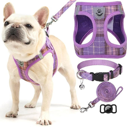 EXPAWLORER Classic Plaid Puppy Harness - Small Dog Harness and Leash Set - Dog Collar and Leash Set with AirTag Holder, Soft Padded Step in Dog Vest Harness No Pull Reflective for Outdoor, Purple XXS