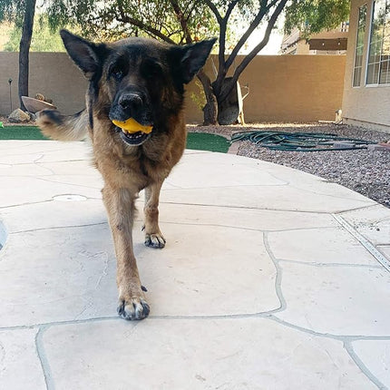 Jalousie 4 Inch Latex Dog Squeaky Toys, Soft Rubber Chew Toy, Animal Ball for Puppy Small Medium Pets (5 Pack)