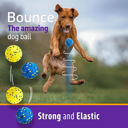 Dog Balls Tennis Ball Dog Toys for Aggressive Chewers, Floating Water Toy, Teething & Fetch Toy for Large Medium Small Dogs and Puppies (1 Ball)