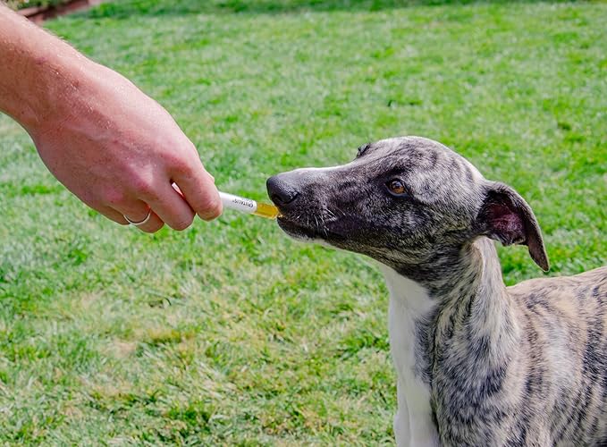 4CYTE™ Epiitalis® Forte Dog Gel 50ml/1.69 fl oz