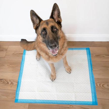 Four Paws Wee-Wee Superior Performance Pee Pads for Dogs with Runoff Barrier Edge Guard Protection, Puppy & Dog Potty Training Pads, Housebreaking Supplies, 28" x 34" (6 Count)
