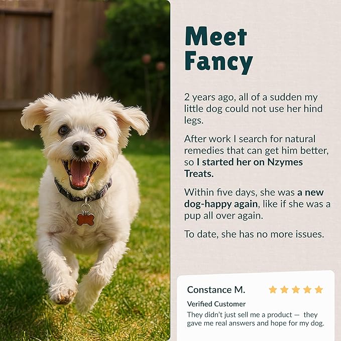 Nzymes® Antioxidant Tiny Treats - for Dogs Joints, HIPS, Paralysis, Skin, Coat, Hair Loss, Aging, Digestion, Seizures - Dog Treats for Small Dogs - 540 Treats - Made in The USA