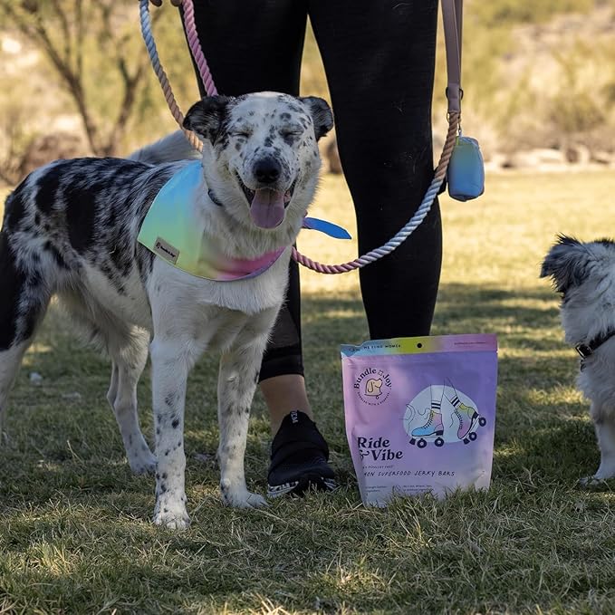Superfood Dog Treats Salmon, Chicken or Beef Jerky Bars - Dog Treats for Snacks and Training – Made in USA - No Corn, Wheat or Soy – Poultry Free, 5oz or 16oz (Salmon (2 Lbs))