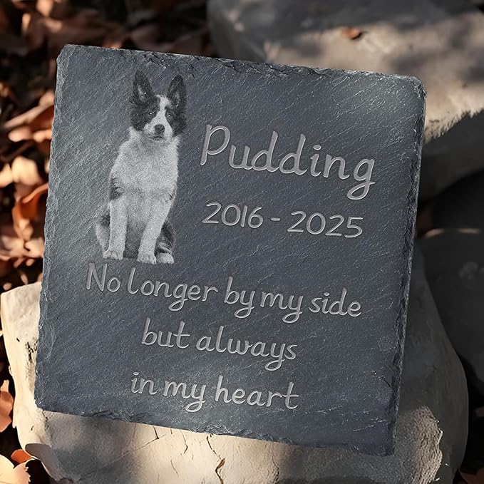 Personalized Pet Memorial Stone, Dog Memorial Gifts, Pet Loss Sympathy Gift, in Memory of Dog Cat - Always in My Heart（Square）
