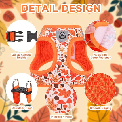 EXPAWLORER Thanksgiving Autumn Puppy Harness - Dog Collar and Leash - Soft Mesh Padded Adjustable Step in Small Dog Vest Harness No Pull, Reflective Escape Proof for Outdoor Walking, Orange S