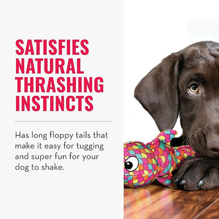 KONG Wubba Finz - Dog Toy for Tug of War & Fetch - Dog Supplies for Puppy & Dog Playtime - Outdoor & Indoor Dog Toy (Blue, Small)