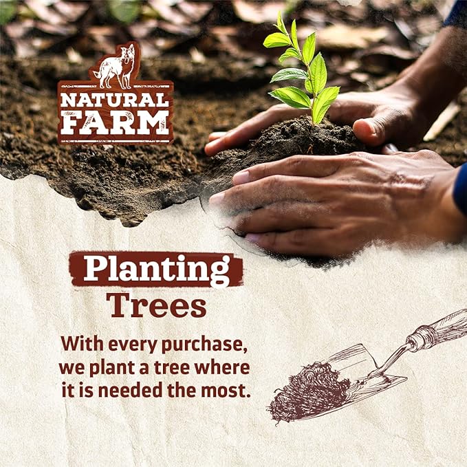 Natural Farm Odor Free Eccentric Bully Sticks (2-5 Inch, 8 Ounces Bag) for Small & Medium Dogs - 100% Beef Chews for Pups, Non-GMO, Grain-Free, Fully Digestible Long Lasting Dog Treats