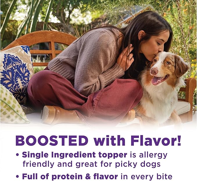 Wellness CORE Bare Bowl Boosters for Dogs, Grain-Free Freeze-Dried Food Mixer Or Topper, Made with Natural Ingredients (Turkey, 4-Ounce Bag) (Pack of 2)