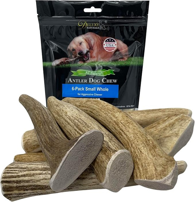 6-Pack Small Whole Elk Antler Dog Chews (5 to 7+ in) – Long Lasting Natural Dog Chew Bones for Small Dogs Under 20 lbs, Aggressive Chewers, Teeth Cleaning, No Rawhide