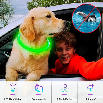 Light Up Dog Collar, Dlitk Rechargeable Cuttable LED Dog Collars, Pet Safety Light at Night Walking for Small Medium Large Dogs, Do Not Use Fast Charging (Green)