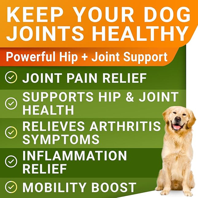 STRELLALAB Liquid Glucosamine for Dogs 32 OZ - Joint Support - All-Natural Hip & Joint Supplement, Glucosamine Chondroitin Liquid, MSM & Collagen for Dogs Mobility, Joint Pain Relief (Pack of 2)