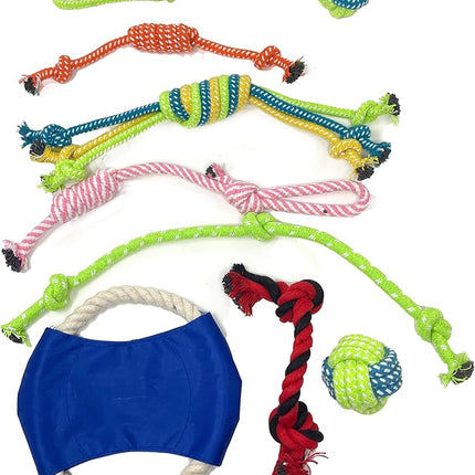 Jalousie Multipack Dog Squeaky Toys Bulk Bundle Pup Toy - Puppy Toys for Pets for Small Medium Breed (24 PCs Gift Basket)