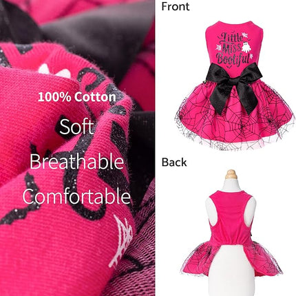 Fitwarm Little Miss Bootiful Halloween Dog Dress, Funny Costumes for Small Dogs Girl, Pet Outfit, Black, Hot Pink, Medium
