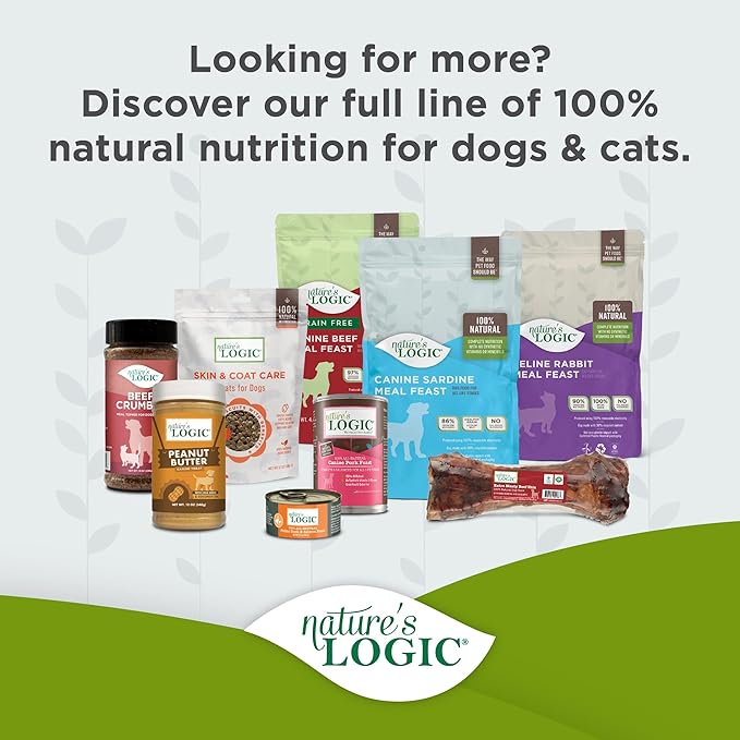 Nature's Logic Dry Dog Food - 100% Natural - No Synthetics - For All Ages, Sizes, Breeds - Free From Common Allergens, High Protein - Beef Meal Feast, 4.4lbs