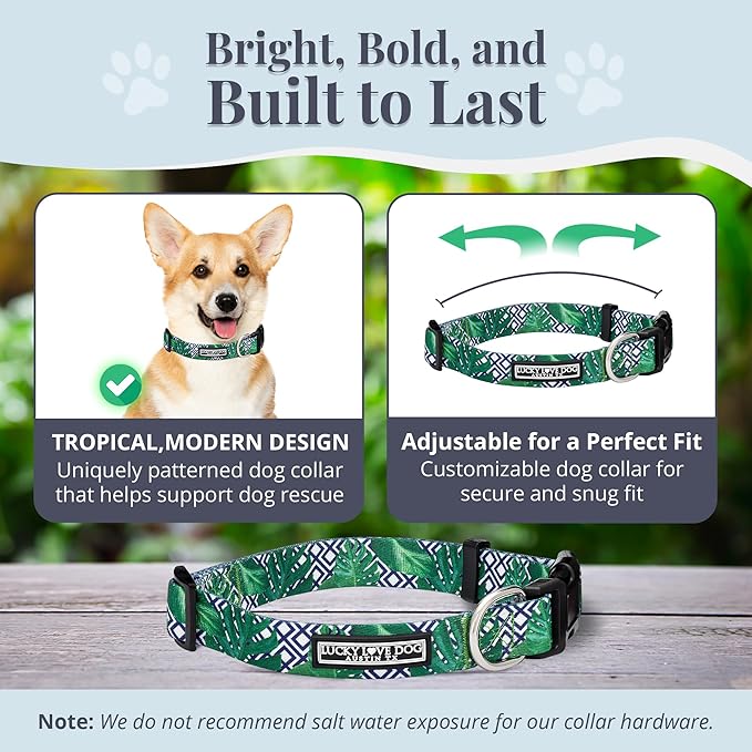 Lucky Love Dog Collar, Beautiful & Vivid Pattern Small Boy Dog Collars, Easy On & Off Clasp Accessory (Blue Laguna, S)