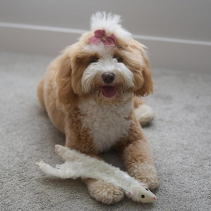 SPOT Skinneeez Crinklers Lamb - Stuffing-Free Dog Toy with Crinkle & Squeaker Sounds, Durable for Moderate Chewers, Tug Toy for Small Dogs & Puppies, 14in