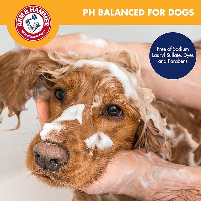 Arm & Hammer for Pets Heavy Duty Multipurpose Bath Wipes for Dogs | All Purpose Dog Wipes Remove Odor & Refresh Skin for Pets | Fruity Mango Scent, Two (2) 100 Count Packs of Pet Wipes
