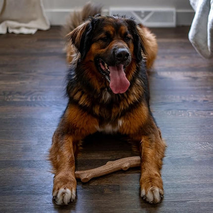 Petstages Outward Hound Super Dogwood Durable Dog Chew Toy, Large - Long Lasting Chew Stick Made with Real Wood - USA Made, L