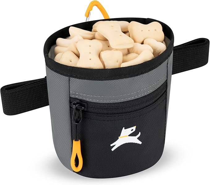 OllyDog Goodie Treat Bag, Dog Treat Pouch, Waist Belt Clip for Hands-Free Training, Magnetic Closure, Dog Training and Behavior Aids, Three Ways to Wear (Castle Rock)