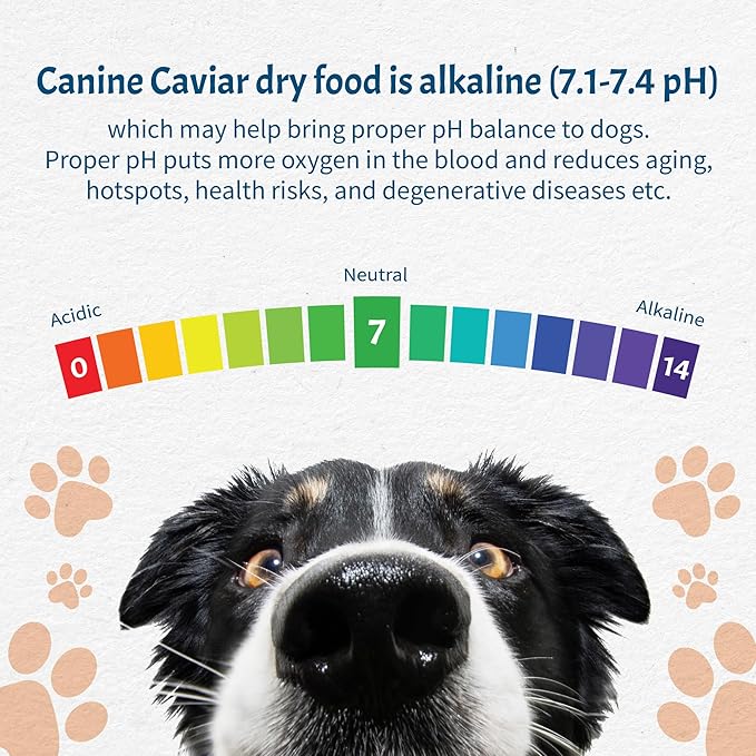 Canine Caviar - Special Needs: Chicken & Brown Rice Alkaline Dry Dog Food, Limited Ingredients, Gluten-Free, Based on Science & Research, Veterinary Alternative Diet (4.4 Pound Bag)