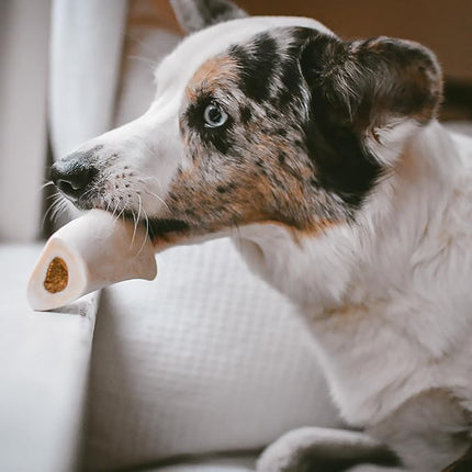 Cadet Stuffed Shin Bone, Long-Lasting Dog Chew Bones for Aggressive Chewers, High Protein Filled Bone Dental Chew for Dogs, Peanut Butter Flavor Filling, 3-4" for Small Dogs, 3 Pack