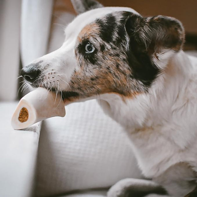 Cadet Stuffed Shin Bone, Long-Lasting Dog Chew Bones for Aggressive Chewers, High Protein Filled Bone Dental Chew for Dogs, Bacon & Cheese Flavor Filling, 3-4" for Small Dogs