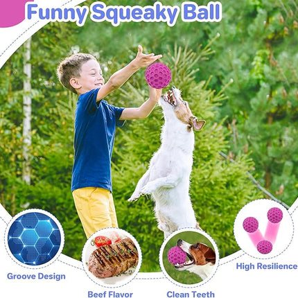 Interactive Squeaky Dog Balls, Dog Toys for Aggressive Chewers Large Breed for Relieving Anxiety, Tough Dog Chew Toys Balls for Aggressive Chewers, Outdoor Squeaky Cognitive Dog Toys