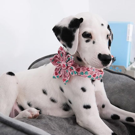 Maca Bates Valentine's Day Dog Collar with Flroral Bow for Small Girl Boy Dogs,Pink Love Hearts Pattern,Adjustable Durable Soft Valentine Gift for Female Male Puppy