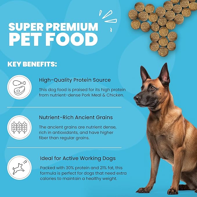 Muenster Ancient Grains Chicken & Pork Dry Dog Food, 22lb - Gluten-Free, High Protein, Digestive Support