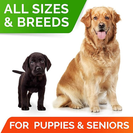 STRELLALAB Dog Probiotics Chews + Enzymes Gut Health Support - Anti Gas, Diarrhea and Upset Stomach Immune Supplement - Digestion Treats with Fiber (180Ct, Chicken)