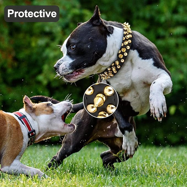 Epesiri Golden Spike Collar for Dogs, Gold Spiked Dog Collar, Durable PU Leather Studded Dog Collar with Leash, Funny Mushrooms Rivet Small Puppy Pet Cat Adjustable Collar, Black L