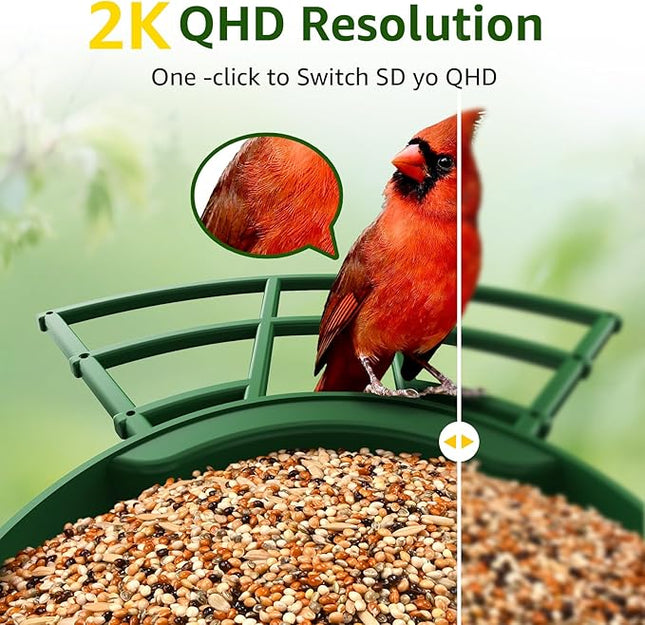 PeckCam® Smart Bird Feeder with Camera 2K HD Auto Detect & Notify, AI Identify 10000+ Birds Camera with Solar Panel 5 Perch Attachments Wireless Outdoor Birdwatching Gift for Birds Lover, Green