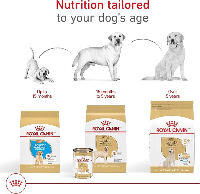 Royal Canin Breed Health Nutrition Labrador Retriever 5+ Mature Dry Dog Food, 28 lb Bag