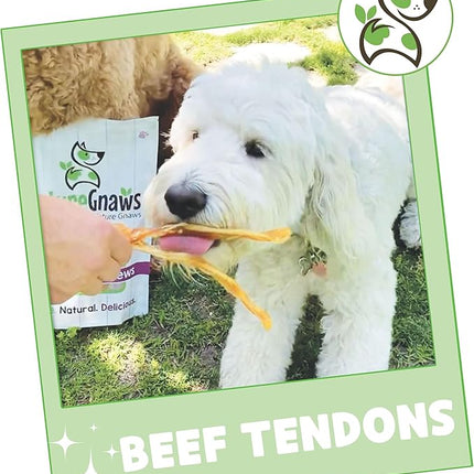 Nature Gnaws Beef Tendons for Dogs (8oz) - Mixed Thickness - Long Lasting for Small and Medium Dogs - Natural Beef Jerky Dog Chew Bones - Rawhide Free