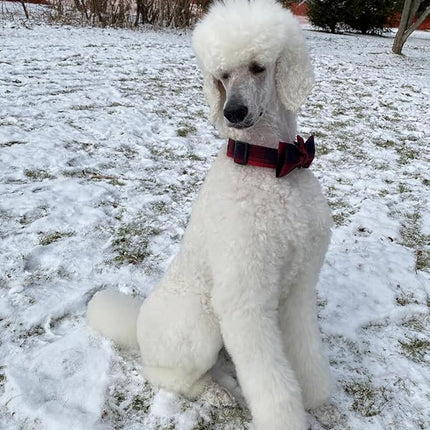 Lionet Paws Dog and Cat Collar with Bowtie Grid Dog Collar Plastic Buckle Light Adjustable Collars for Small Dogs Pets