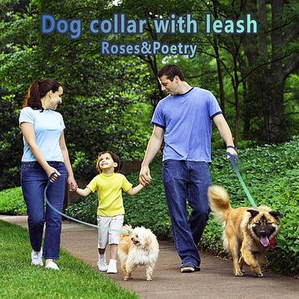 Roses&Poetry Bluegreen Small Dog Collar and Leash Set, Puppy Reflective Leashes with Collars, Adjustable Durable Matching Collar Leash for Small Dogs Girl (Bluegreen-XS)