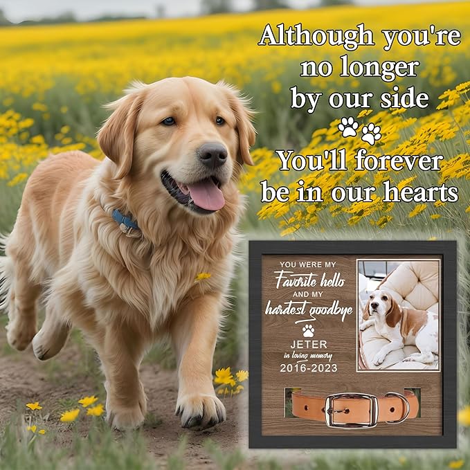 Custom Dog Memorial Gifts for Loss of Dog, Customized Pet Memorial Gifts, Personalized Dog Memorial Collar Picture Frame, in Memory of Dog, Loss of Pet Sympathy Gifts, Memorial Gifts for Cats