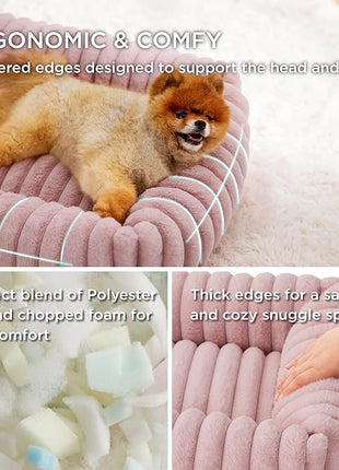 Bedsure Cute Dog Bed for Small Dogs & Cats - Washable Furry Puppy Beds, Rectangle Orthopedic Corduroy Fleece Pet Beds with Removable Zipper Cover, 20x19x6inches, Blush Pink