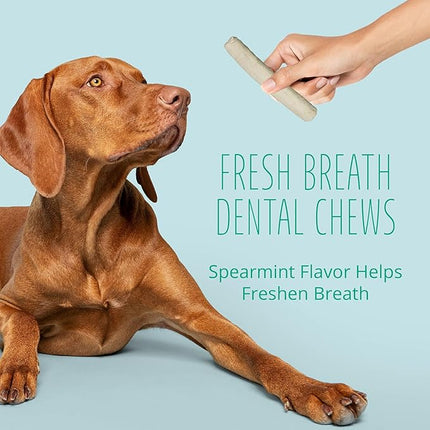 Better Belly Highly Digestible Rawhide Dental Chews, Treat Your Dog to a Chew with NO Artificial Colors or Flavors