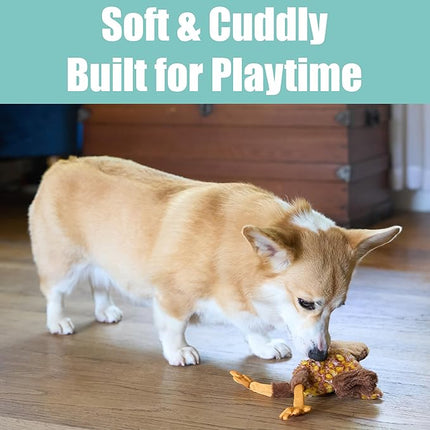 SPOT Skinneeez Chicken 13 Inch Stuffing-Free Plush Squeaky Dog Toy – Soft Interactive Chew Toy for Small and Medium Dogs – Mess-Free Play for Light & Moderate Chewers